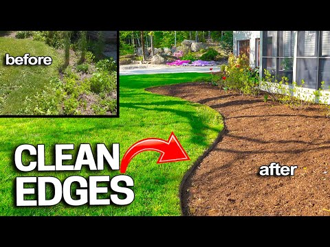 How to Get Clean Edges in Your Lawn the Easy Way