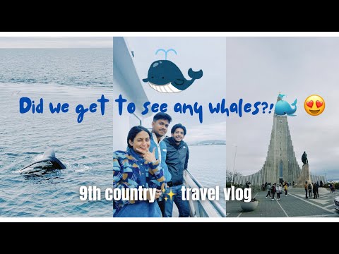 Did we get to see any whale 😍? | whale watching tour |travel| ತಿಮಿಂಗಿಲಗಳನ್ನು ವೀಕ್ಷಿಸಿದ ಅದ್ಭುತ ಅನುಭವ