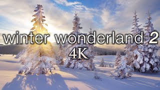 11 HOURS 4K: Winter Wonderland 2: Ambient 4K Nature Relaxation™ Film + Soothing Hang Drum Music