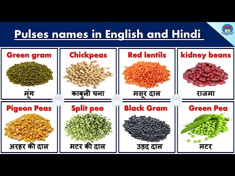 30 Pulses names in English and Hindi | Dalo ke Naam | Pulses Names | दालों के नाम | Lentils Names