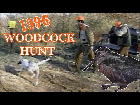 1990's Hunting Footage - Kentucky Woodcock Hunt!