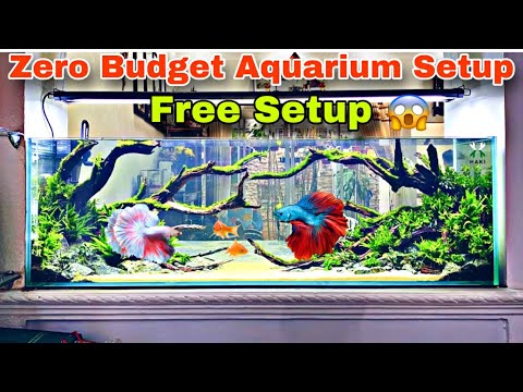 Building Zero Budget Aquarium | Fish tank Setup 🐠 ||