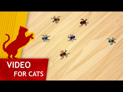 Cat Games - Toy Spiders (Videos for cats to watch)