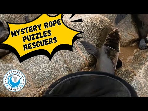 "Mystery Rope" Puzzles Rescuers