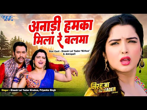 #Video - अनाड़ी हमका मिला रे बलमा | #Dinesh Lal Yadav Nirahua, #Priyanka Singh | Full Movie Song 2025