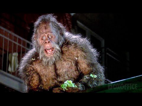 Bigfoot takes on the hunter | Harry and the Hendersons | CLIP