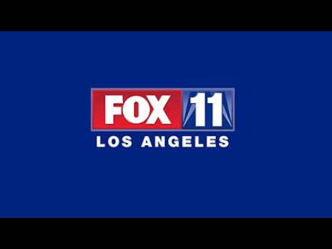 Miss Diddy on FOX 11: Talks to Tony McEwing About the Future of Branding in a Virtual World