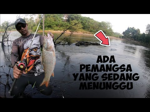 LEDAKAN/SAMBARAN PADU SEBARAU DI JERAM BERBATU‼️#HAMPALA #topwater