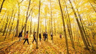 Environment & Sustainability Area of Study at Trent University