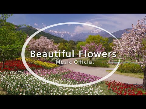 Beautiful Flowers - Relaxing Piano (Music Official)