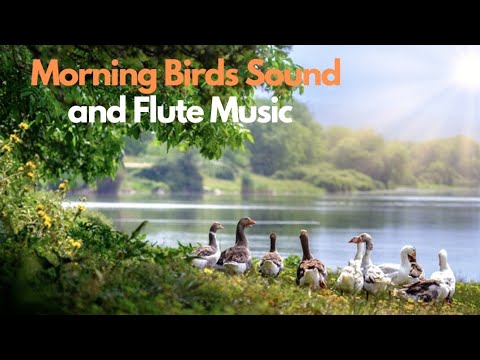 Birds Sound & Flute Music Combined Nature पंछियों की आवाज और बांसुरी की धुन @relaxingsoundsplace4017