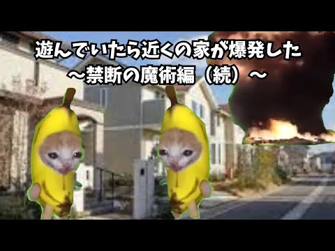 【猫ミーム】特別な力があると思ったあの頃🐈続