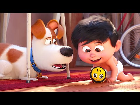 A dog and a baby learn to know each other ❤️ | The Secret Life of Pets 2 | CLIP