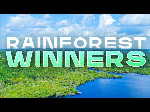 Meet the WINNERS of the $10M XPRIZE Rainforest Competition Awarded For Enhancing Biodiversity