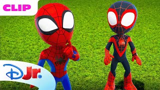 Marvel's Spidey and his Amazing Friends | The Campout Mystery 🏕️ | @disneyjr