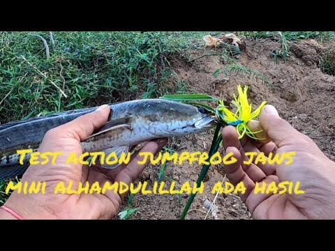 test action jumpfrog jaws mini alhamdulillah ada hasil..