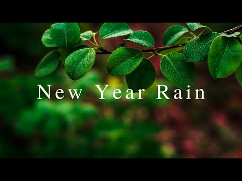 Peaceful Guitar & Rain for a Serene New Year