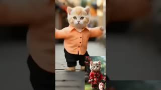 #funny #funyanimals #cute #comedy #dogdance #animlasfunny