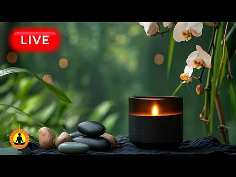 🔴 Stress Relieving Spa Music 24/7 🪷No Ads 🪷 Sounds of Water, Relaxing Massage Music, Deep Relaxation