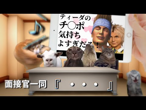 就活の最終面接で『ティーダのチ○ポ』を流された時の話【猫ミーム】