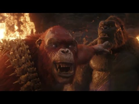 Godzilla x Kong: The New Empire but it's just the memes