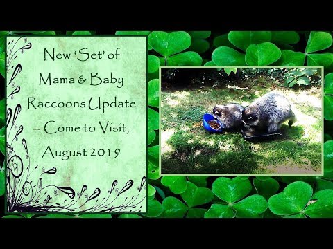 New Mama and her two Babys Visit Update - August 2019