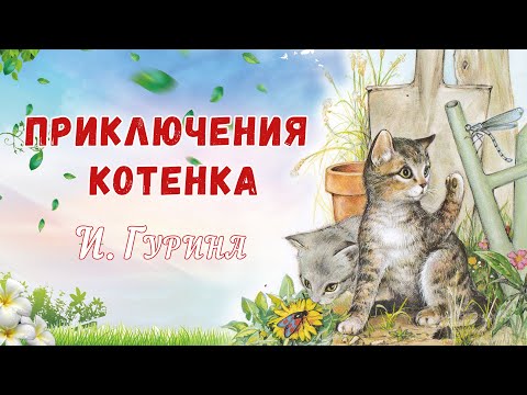 🐱Сказки на ночь - Приключения котенка - Аудиосказки о животных