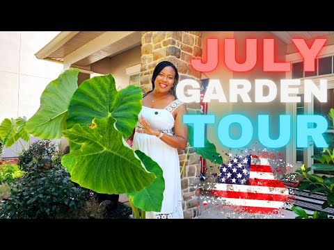 Realistic July GardenTour: 🛑You might NOT want to watch!"😱 Zone 9B Florida