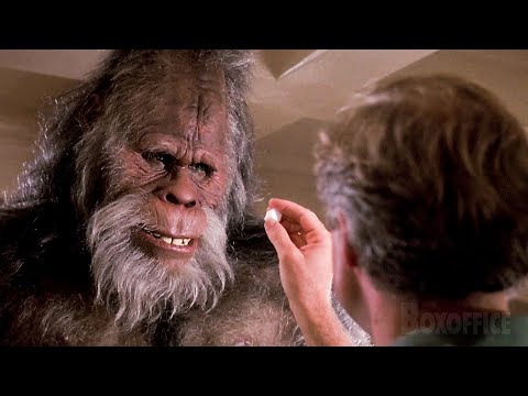 How To Train Your Bigfoot | Harry and the Hendersons | CLIP