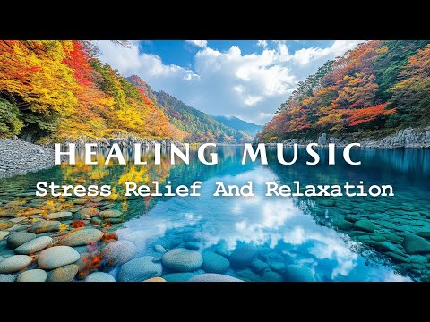 Healing Music to Reduce Stress, Heal the Mind and Detox Negative Emotions🌾 Meditation Music