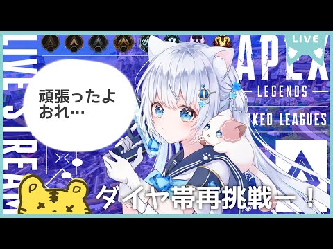 〖apex〗デュオランク💎ダイヤ帯再挑戦👍🏻with🐯♂〖#vtuber / #猫海ましろ /#初見さん大歓迎〗