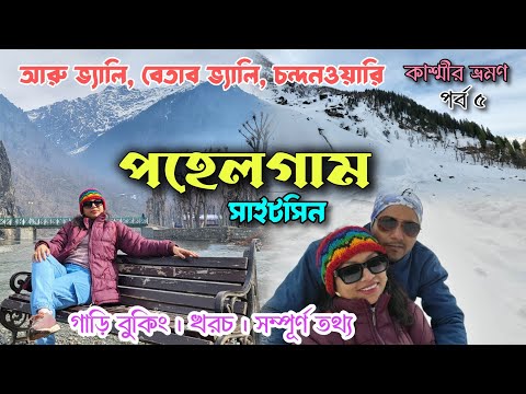 Pahalgam Sightseeing || Aru Valley|| Betaab Valley ||Chandanwadi || একদিনে ঘুরে নিন পহেলগাম