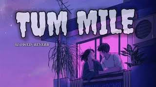 Tum Mile ( Slowed & Reverbed)