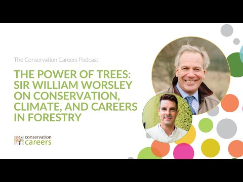 Podcast | The power of trees: Sir William Worsley on conservation, climate and careers in forestry