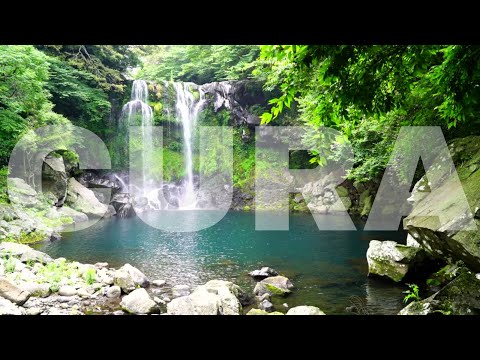 O melhor Remédio para Ansiedade | Musica e Sons da Natureza Para Dormir #1