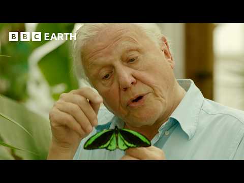 This is One of David Attenborough's Favourite Animals | Attenborough's Ark | BBC Earth