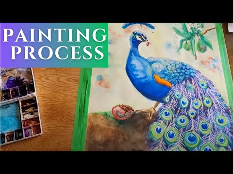 Magical process of painting peacock in watercolour