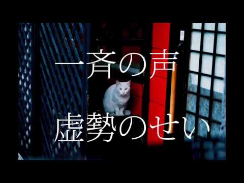 有機酸/ewe「悩めるAの事情」feat.初音ミク MV