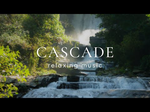 Relaxing Music for Stress Relief, Calm, Study | Beautiful Nature & Water Sounds