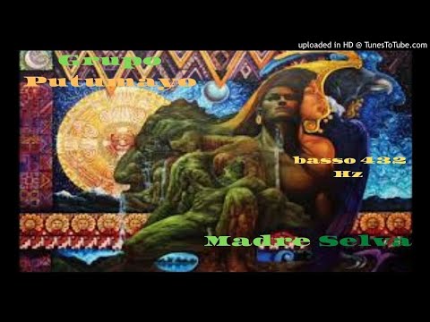 Grupo Putumayo - Madre Selva [basso-cover 432 Hz]🎧