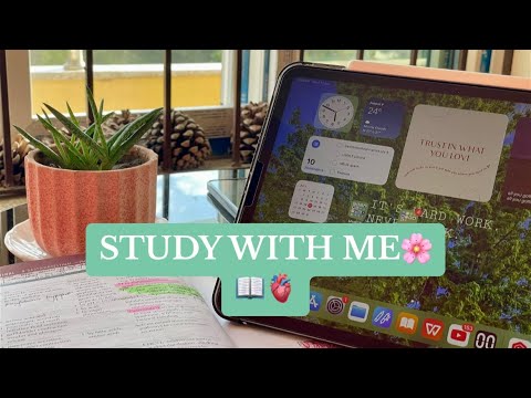 🔴3 HOUR LIVE STUDY WITH ME/ POMODORO/ 🌊 Flowing water 🎵/ #livestudy #studymotivation #studywithme