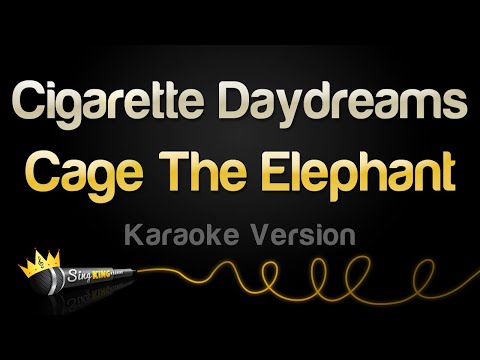 Cage The Elephant - Cigarette Daydreams (Karaoke Version)