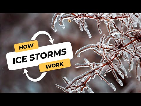 How do ice storms happen? | CBC Kids News