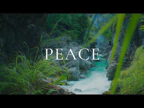 Peaceful Relaxing Guitar Music | Stress Relief Calm | Forest Stream