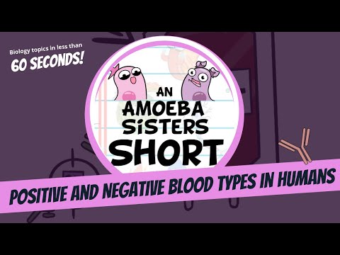 Positive and Negative Blood Types - Amoeba Sisters #Shorts