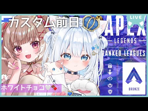 〖apex〗デュオカスタム練習日💎teamほわいとちょこ🤍🍫〖#vtuber / #猫海ましろ /#初見さん大歓迎 / #胡桃ぬい 〗