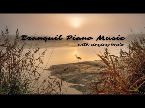 Relaxing Piano music with Bird Sounds  { Beautiful Relaxing Music } Deep Meditation Music