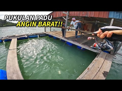 GARA GARA PUKULAN ANGIN BARAT PADU! | CHAIFishing