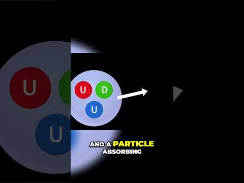 Why is the Transforming Ability of the Weak Force called a "FORCE?"