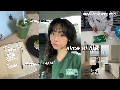 the most PRODUCTIVE 48 HOURS in my life 🍞 cleaning my room at 4AM, living alone diaries & desk setup